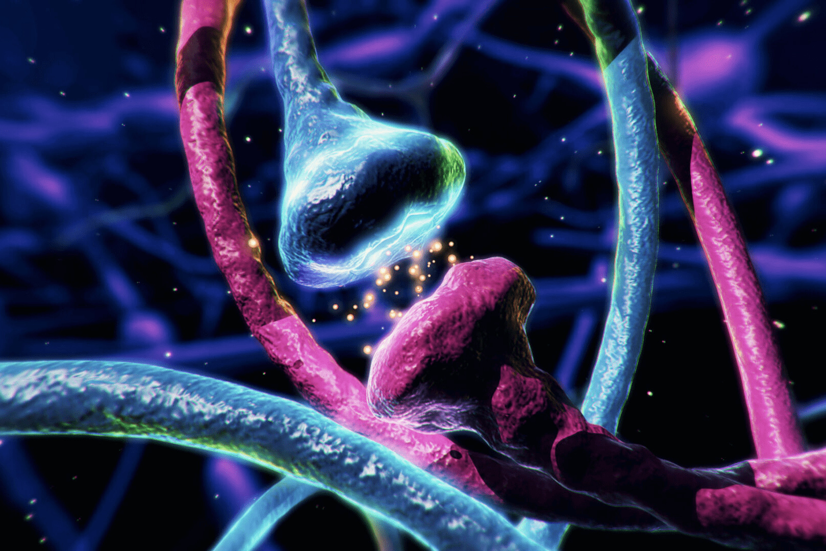 Close-up of synaptic transmission in neurons